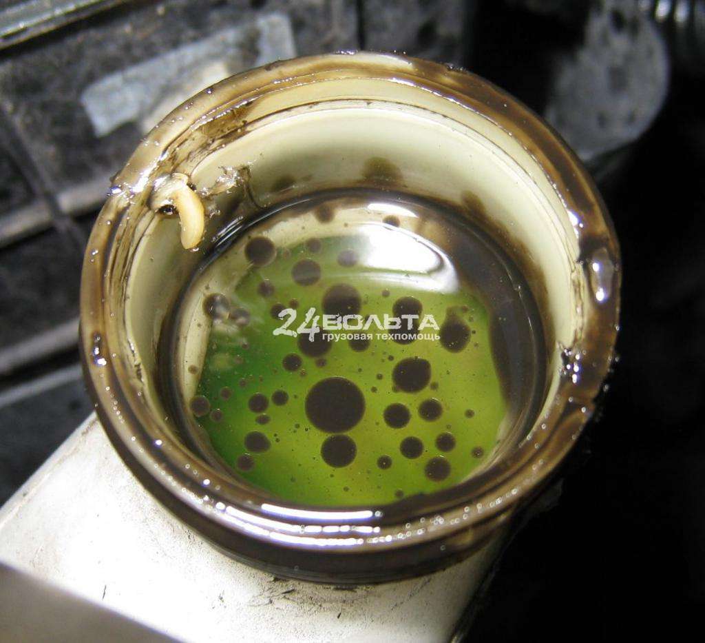 Масло в антифризе Мерседес